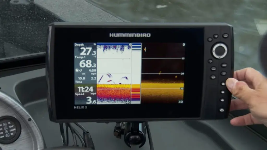 Fish finder live demonstration