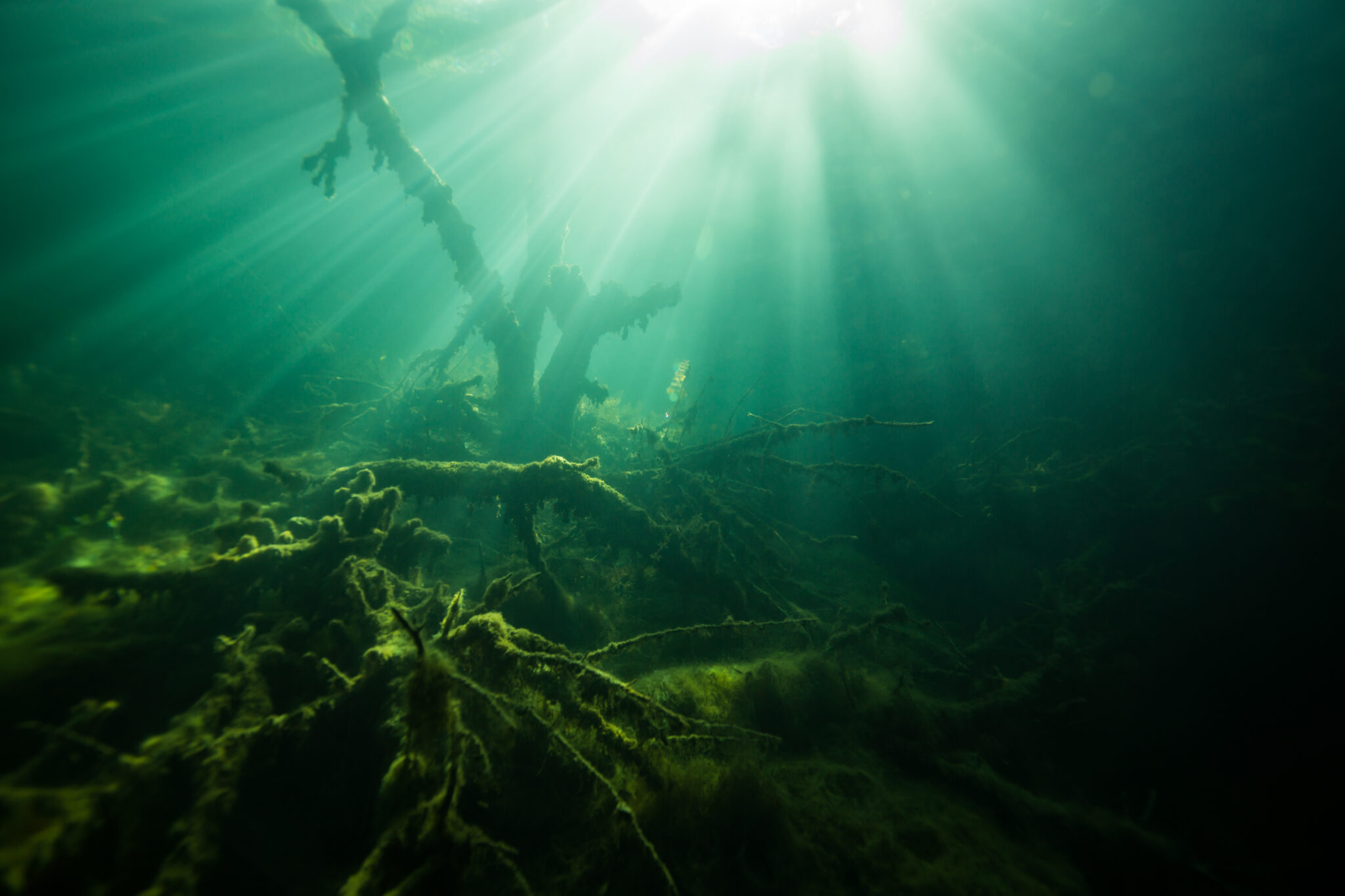 How Deep is Lake Fishing? (Average Lake Depths) FishFinder HQ