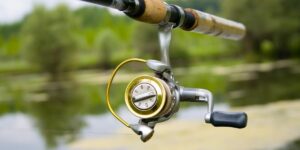 fishing reels for bass