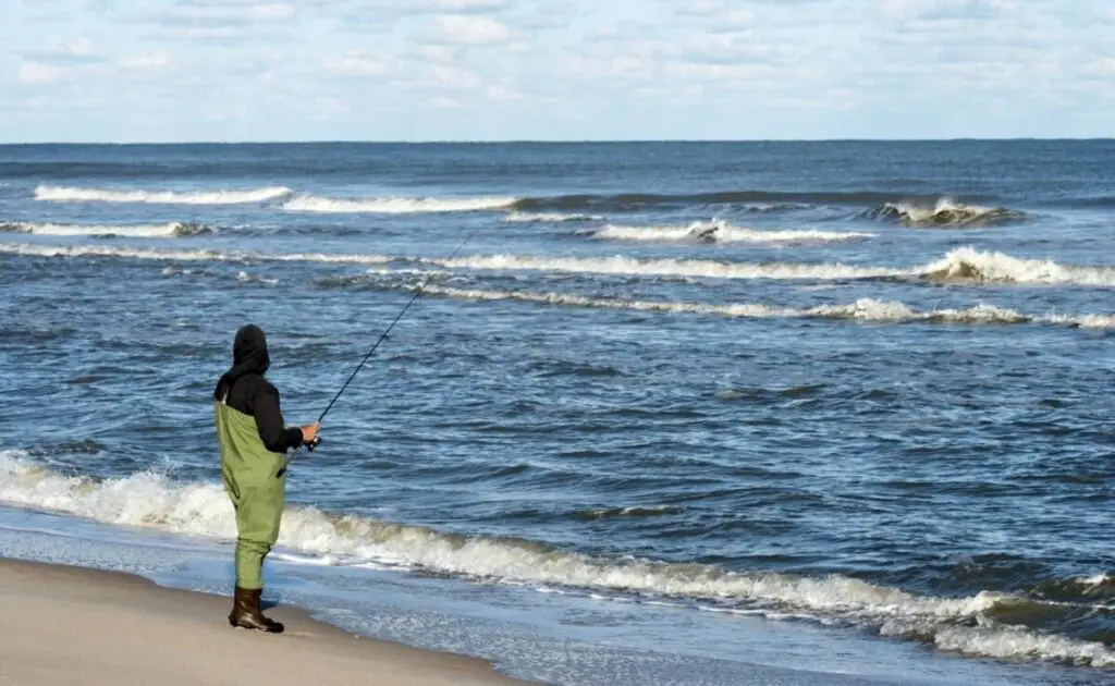 surf waders