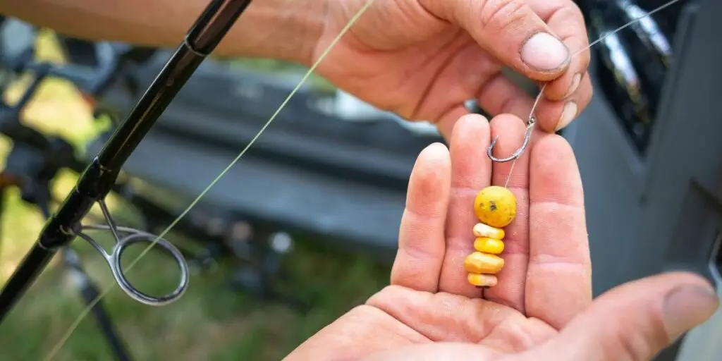 Best Bait For Carp Fishing (Top Secret Carp Bait) - UntitleD Design 13 1024x512