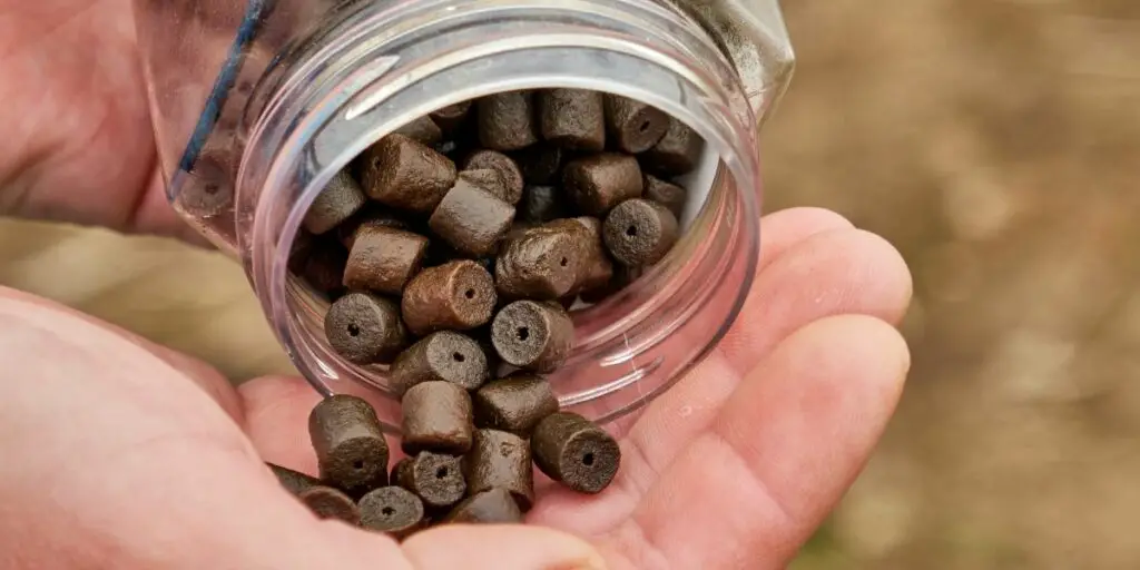 carp fishing pellet bait