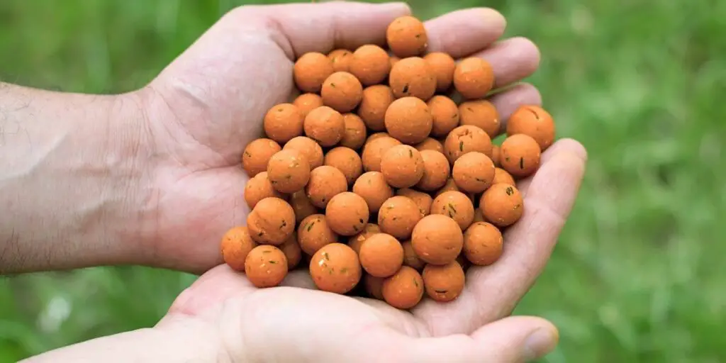 carp fishing bait