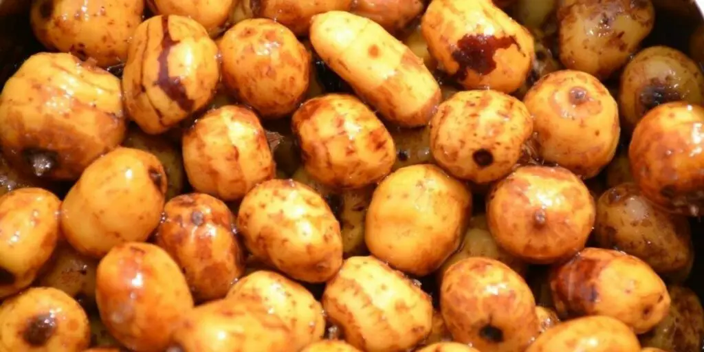 tiger nuts carp bait