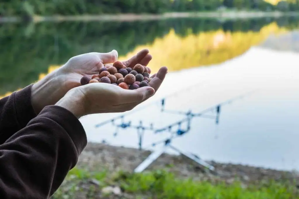 Best Boilies For Carp