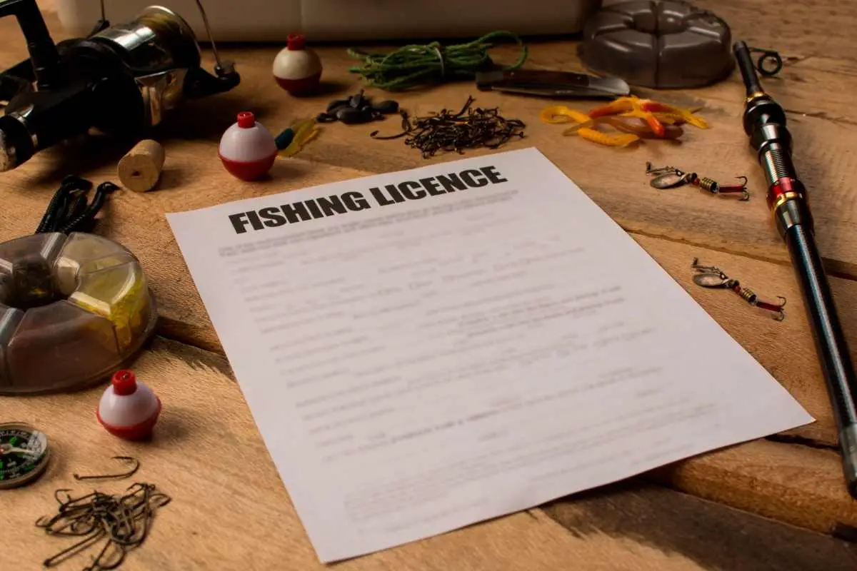 Fishing License In The US