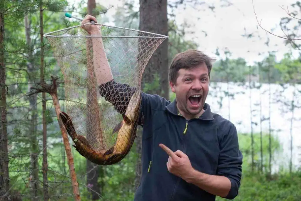 Muskellungein a net