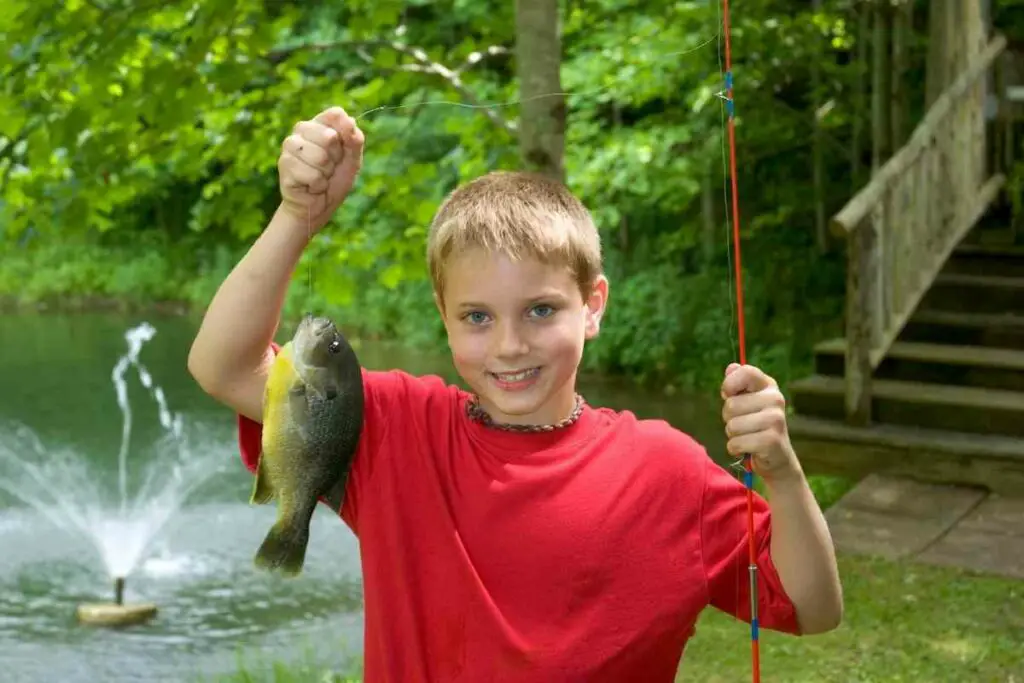 Tips for catching bluegill summer like a pro