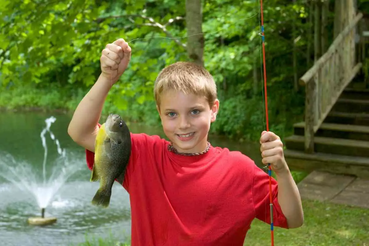 Beginners Guide for Catching Bluegill in Summer and Winter