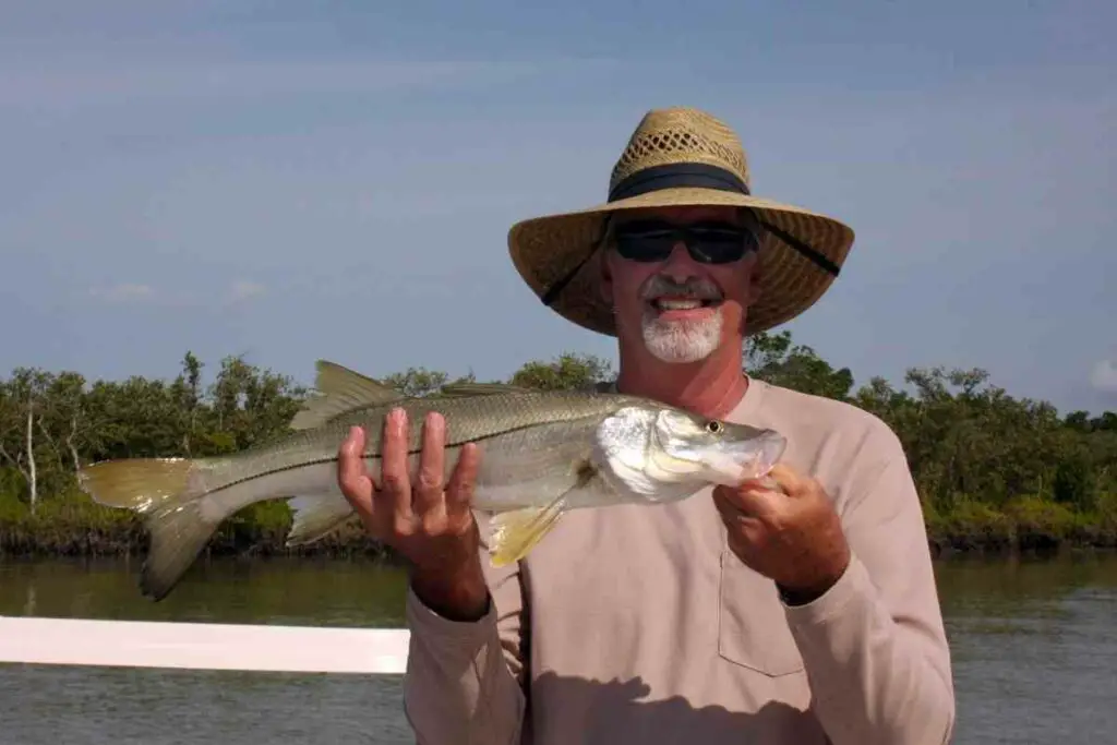 The Basics of snook fishing lures