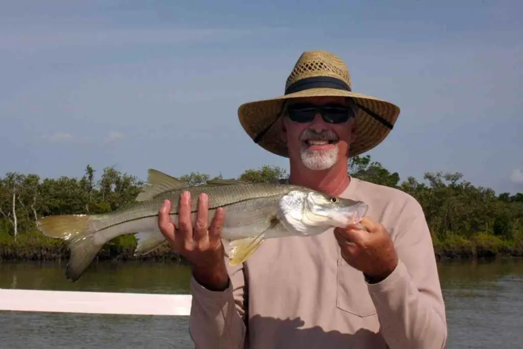 Complete Guide to Baits and Lures for Snook Fishing - FishFinder HQ