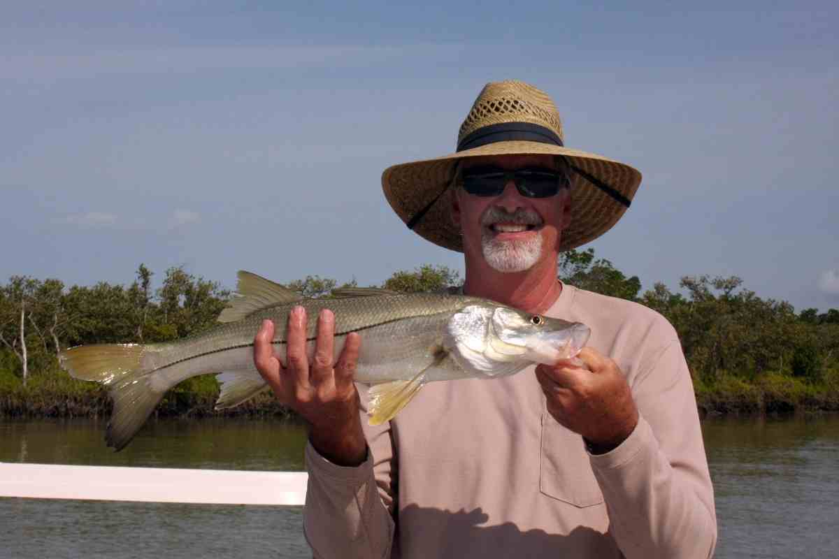 Complete Guide To Baits And Lures For Snook Fishing - Fishfinder Hq