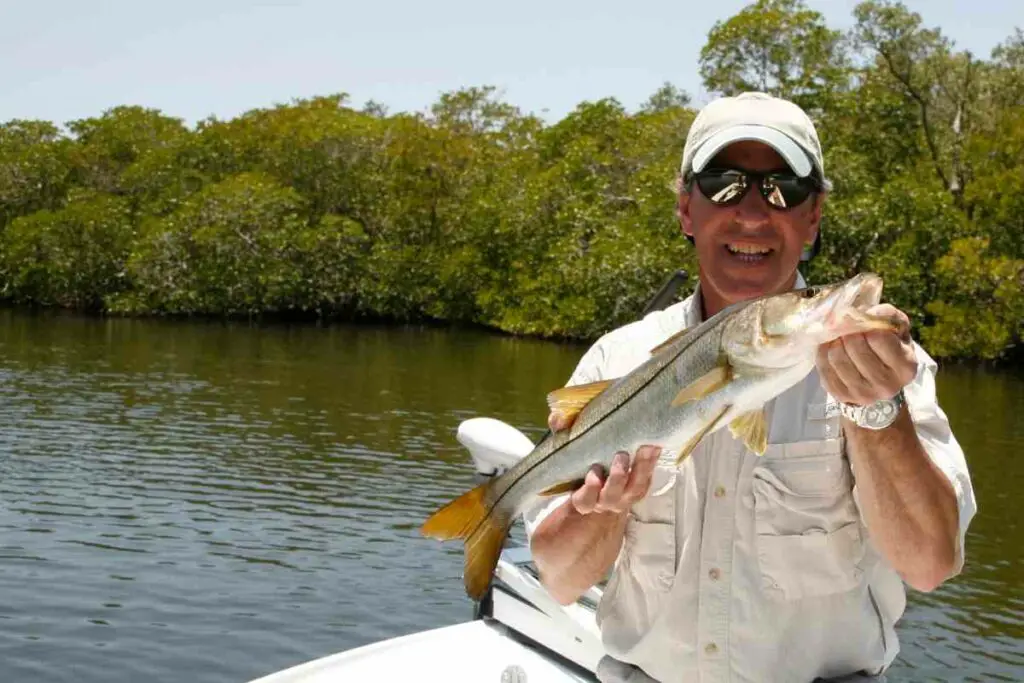 Best baits for snook fishing