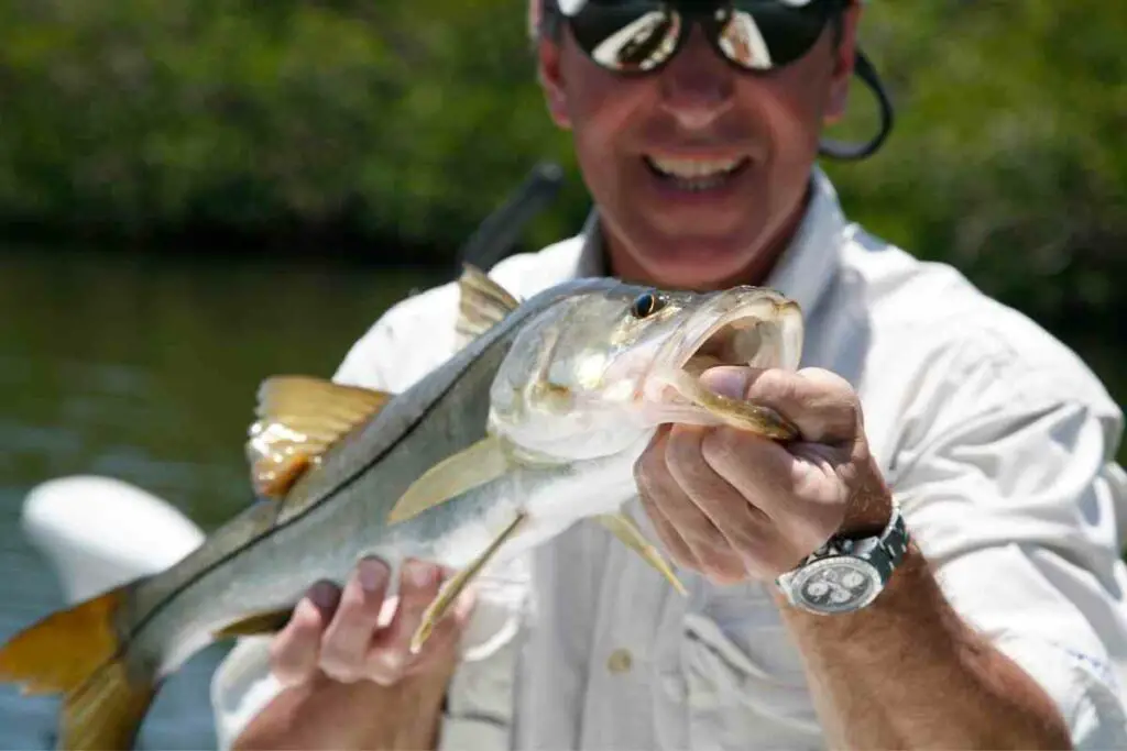 Best lures for snook fishing