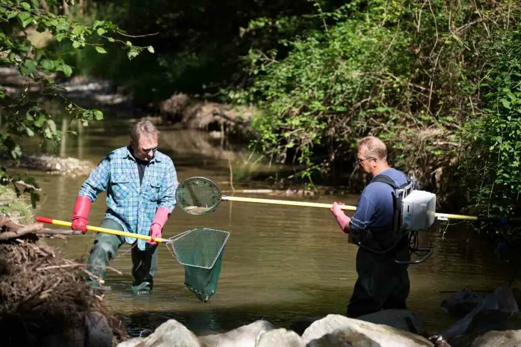 Electrofishing tips