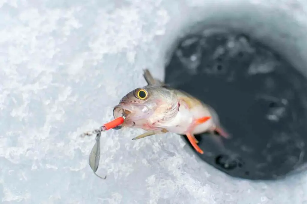 Ice fishing hole freezing advice