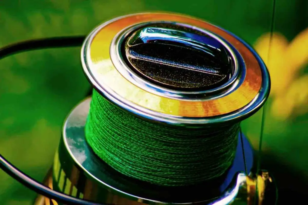 Catfish fishing line durability